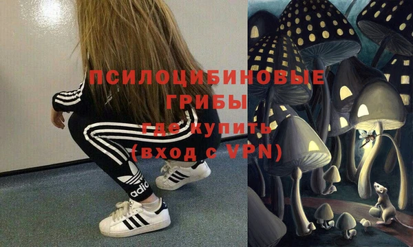 крисы Куйбышев