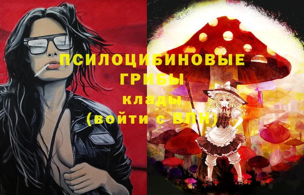 кокс Костерёво