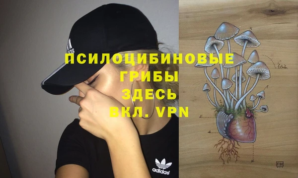 бошки Красноперекопск