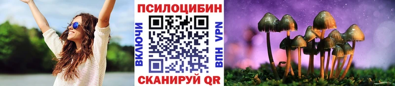 маркетплейс какой сайт Нефтеюганск Галлюциногенные грибы Psilocybe где продают наркотики