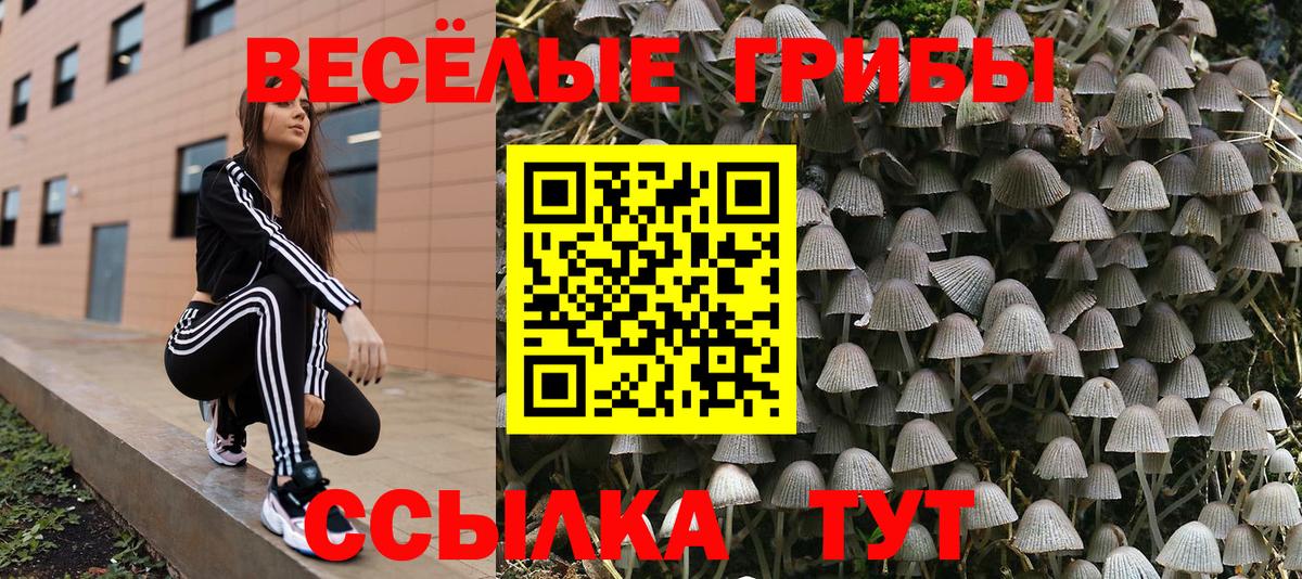 Галлюциногенные грибы Magic Shrooms  Вход с VPN  Нефтеюганск  Галлюциногенные грибы Cubensis 