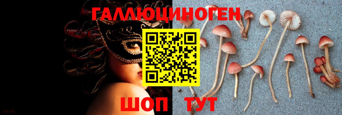 Галлюциногенные грибы GOLDEN TEACHER Нефтеюганск